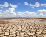 How To Prepare For A Drought